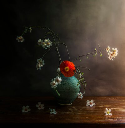  - Judy Tseng