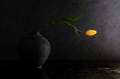  - Judy Tseng