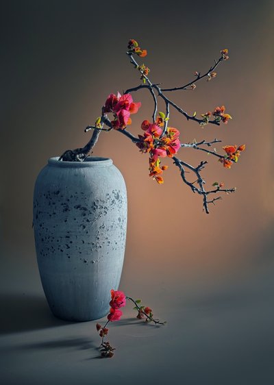  - Judy Tseng