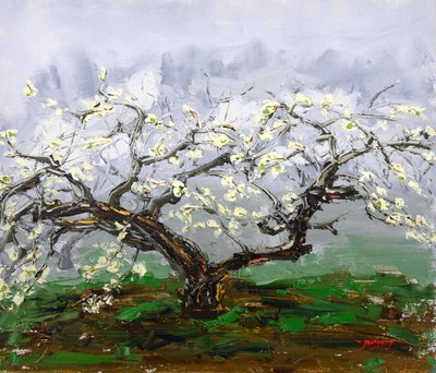  - Jukyong Park