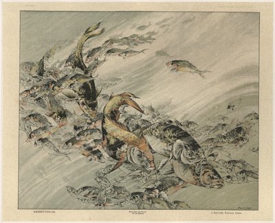Poissons, planche 7 de 