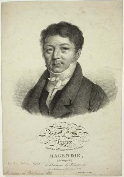 Portrait of François Magendie - Jules Boilly