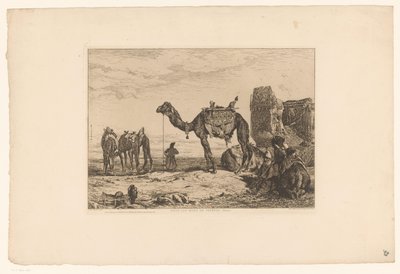 Paysage avec chameaux près d