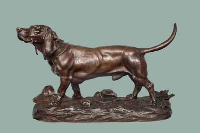 Un Basset Hound - Jules Pierre Moigniez