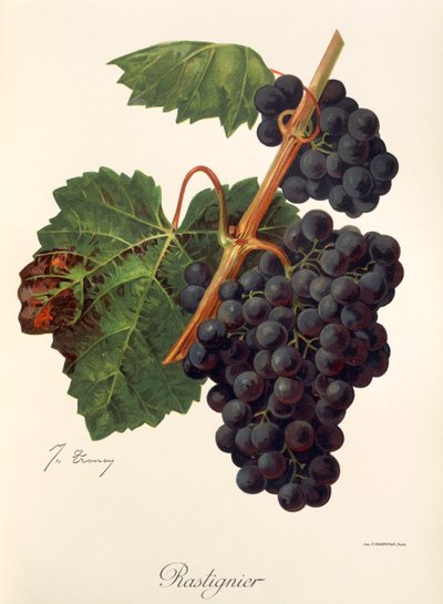 Rastignier - Jules Troncy