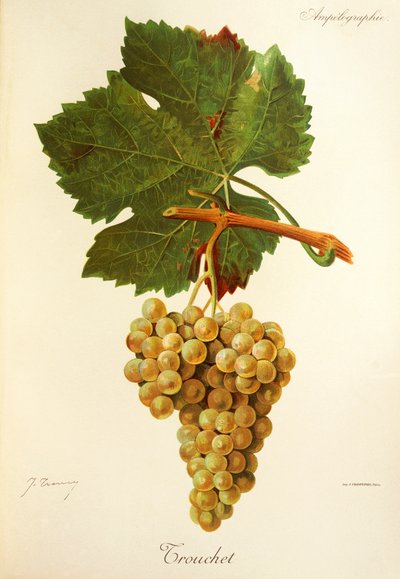 Trouchet - Jules Troncy
