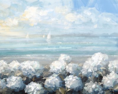 Hortensia côtier « Serenity » - Julia Cheney