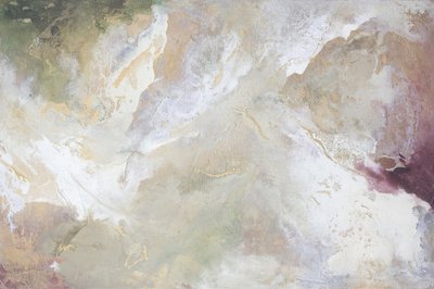 Une terre précieuse - Julia Contacessi