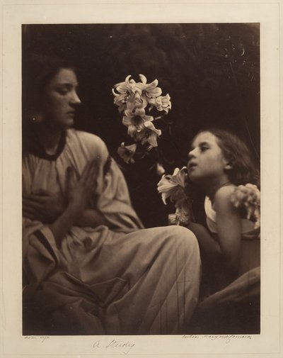  - Julia Margaret Cameron