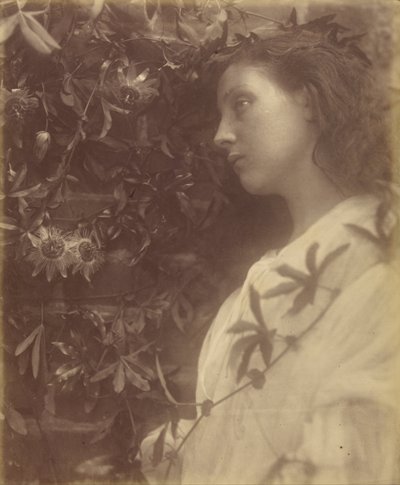 Maud "Une magnifique larme est tombée de la fleur de la passion à la porte". - Julia Margaret Cameron