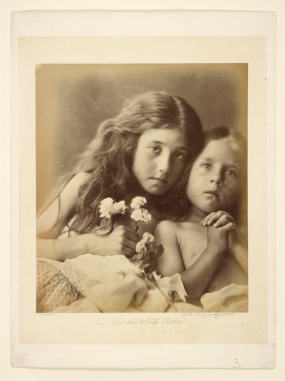 Les roses rouges et blanches - Julia Margaret Cameron