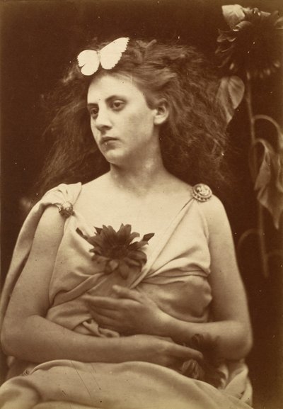 Le Tournesol, début des années 1870 (photo) - Julia Margaret Cameron