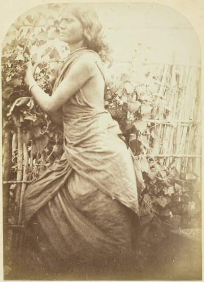 Femme, Ceylan, 1875-1879 - Julia Margaret Cameron