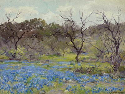 Début du printemps—Bluebonnets et mesquites - Julian Onderdonk
