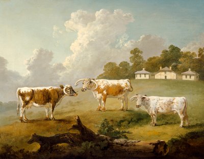 Trois bovins à longues cornes dans un paysage - Julius Caesar Ibbetson