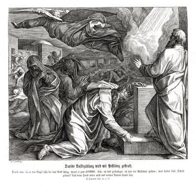 David est puni pour avoir compté le peuple, 2 Samuel - Julius Schnorr von Carolsfeld