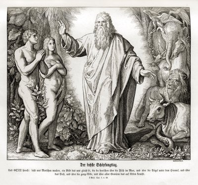 Sixième jour de la création, Genèse - Julius Schnorr von Carolsfeld