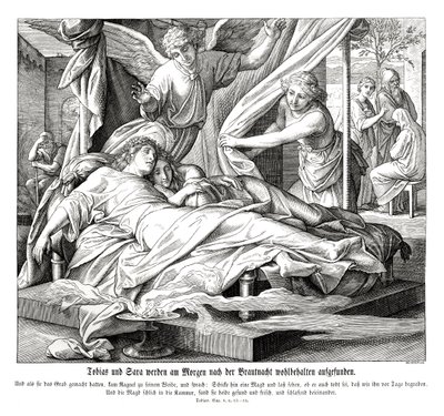 Tobie et Sarah sont retrouvés sains et saufs, Livre de Tobie - Julius Schnorr von Carolsfeld