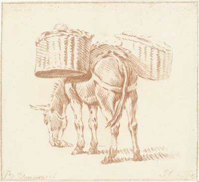 Âne chargé - Jurriaan Cootwijck
