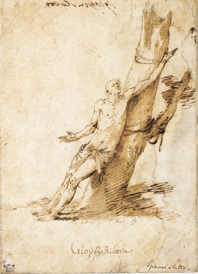 Saint Sébastien attaché à un arbre, regardant vers la droite - Jusepe de Ribera