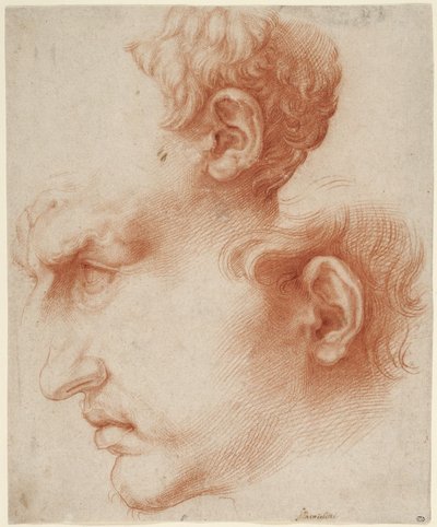 Studien eines männlichen Kopfes im Profil - Jusepe de Ribera