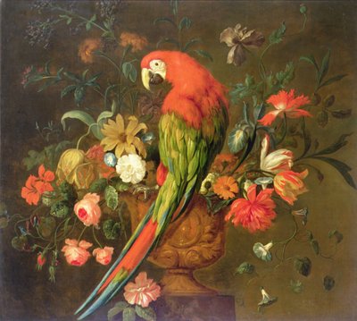 Ara rouge perché sur une urne sculptée avec des fleurs - Justus van Huysum