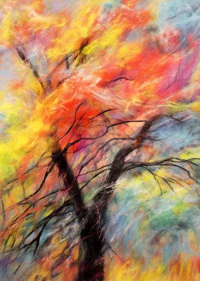 Un arbre aux couleurs chatoyantes en automne - Justyna Jaszke