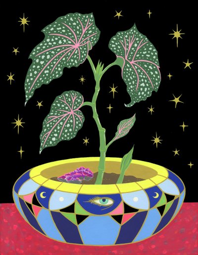 Bégonia en pot, 2021 - Kam Tsz