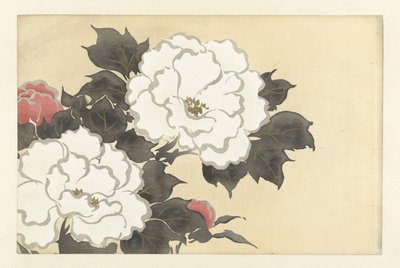 Pivoines (Fleurs de cent mondes) - Kamisaka Sekka