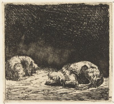 Chien et chat endormis - Karel Du Jardin