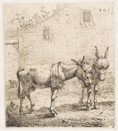 Deux ânes - Karel Du Jardin