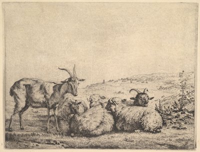 Deux chèvres et trois moutons, 1655 - Karel Du Jardin