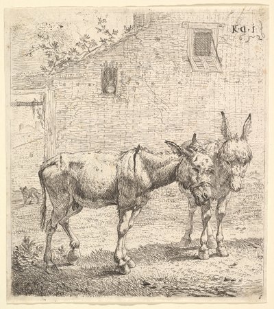 Deux ânes dans une cour herbeuse, l