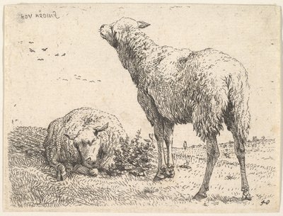 Deux moutons, l