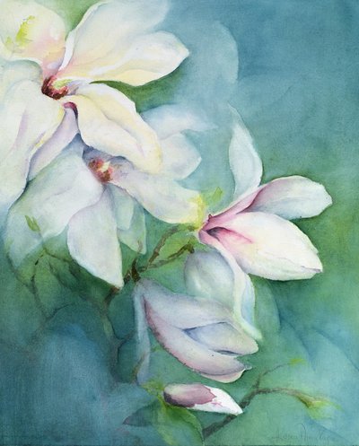 Magnolia Dedudata - Karen Armitage
