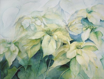 Poinsettia blanc (horizontal) - Karen Armitage