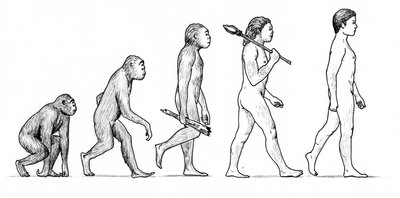 Évolution de l