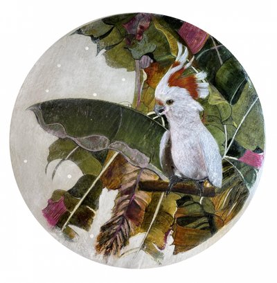 Un cacatoès blanc dans la jungle - Karenina Fabrizzi