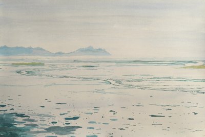 Paysage côtier brumeux - Karin Bos