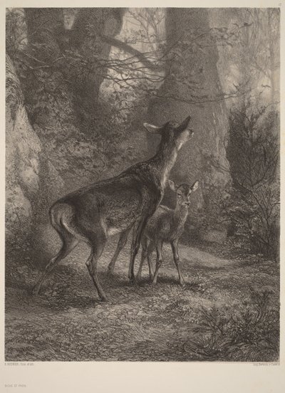  - Karl Bodmer
