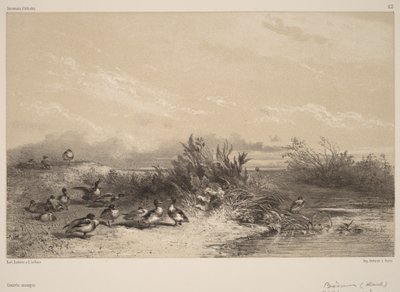  - Karl Bodmer