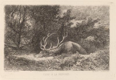 Cerf à la Reposée - Karl Bodmer