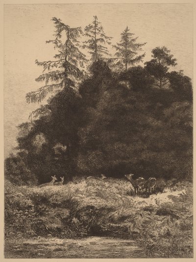  - Karl Bodmer
