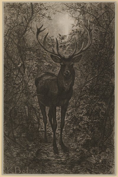  - Karl Bodmer