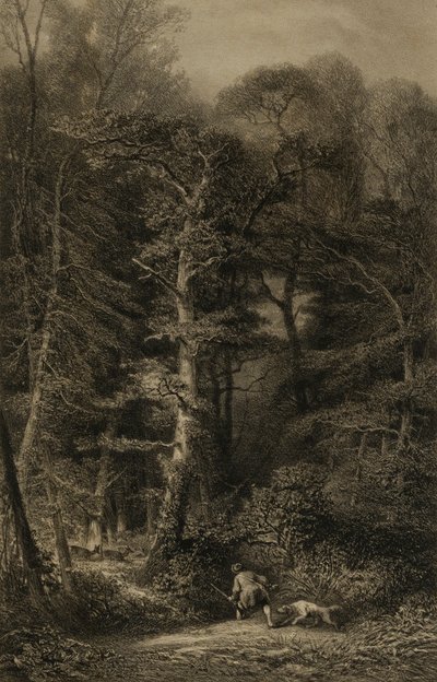 Interieur de Forêt - Karl Bodmer