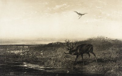  - Karl Bodmer