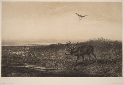  - Karl Bodmer