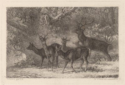 Le harde - Karl Bodmer