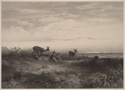  - Karl Bodmer