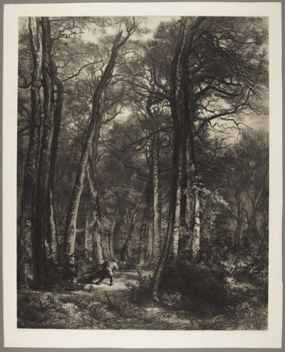  - Karl Bodmer